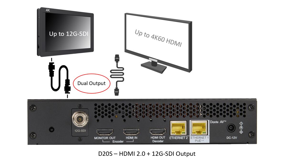 D20s-Dual-Output